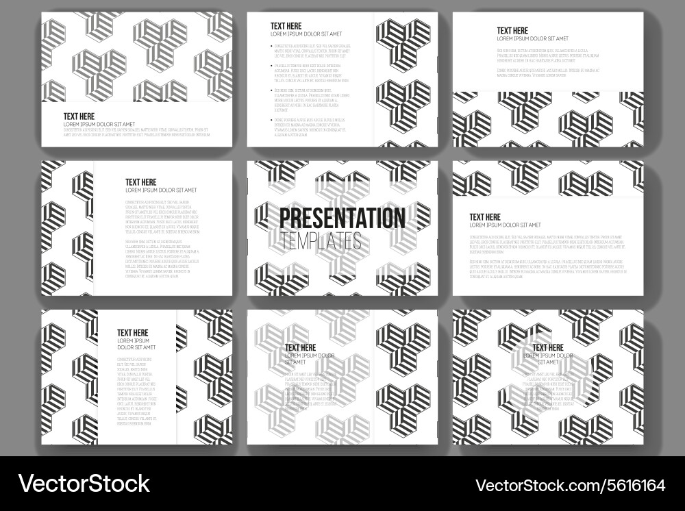 Set of 9 templates for presentation slides modern Vector Image