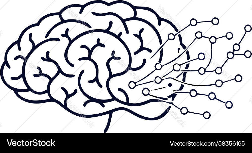 Abstract Brain with Neural Connections Vector Image