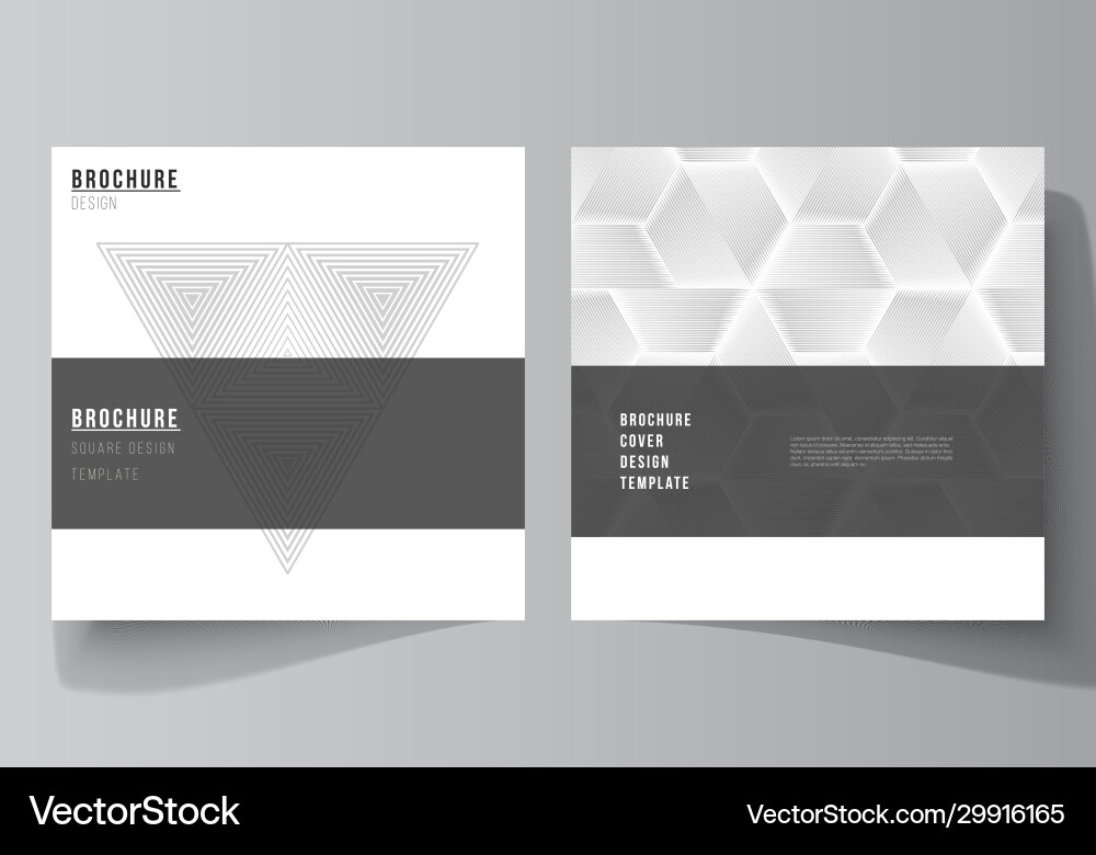 Minimal layout two square vector image