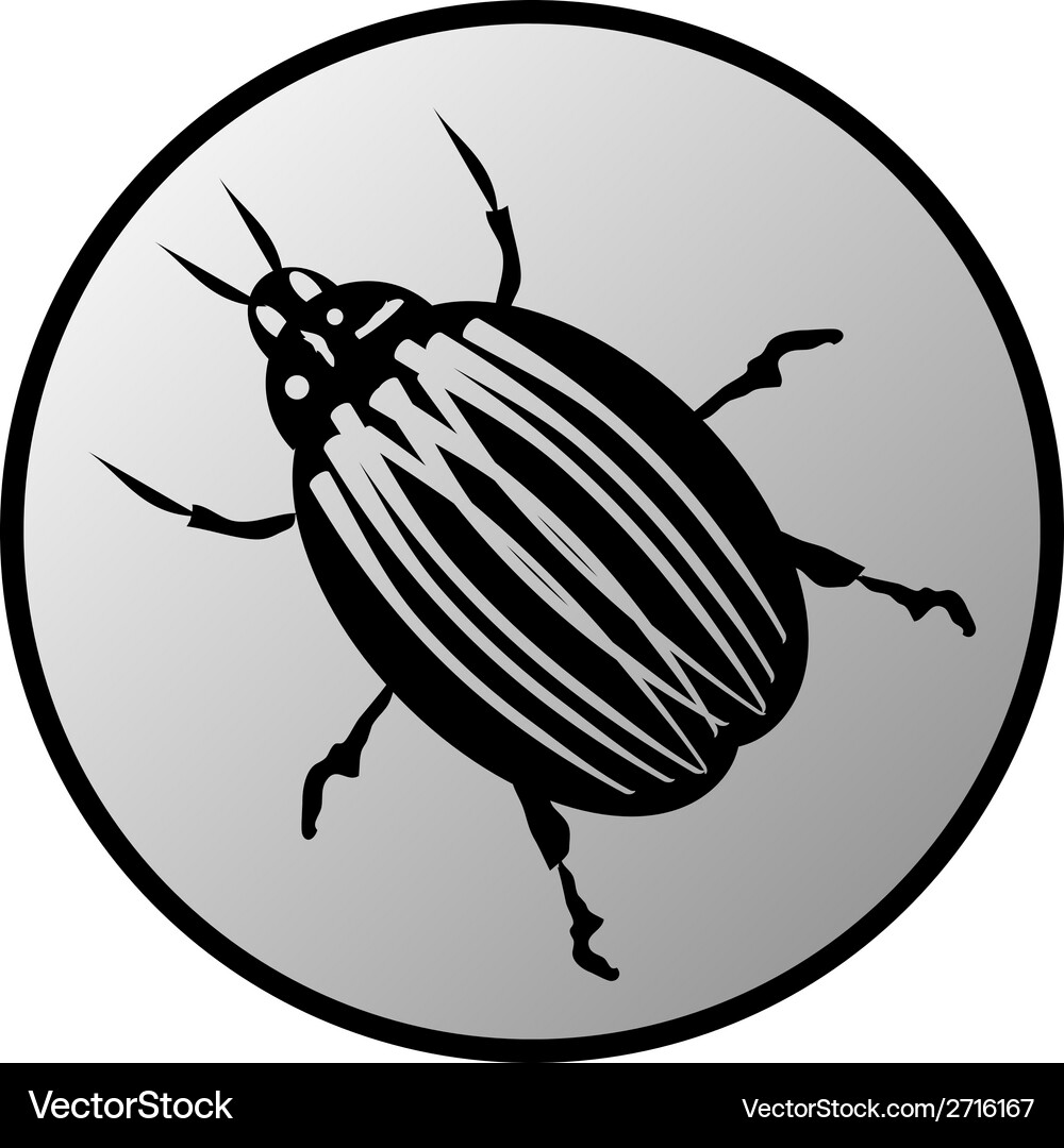 Bug button Vector Image