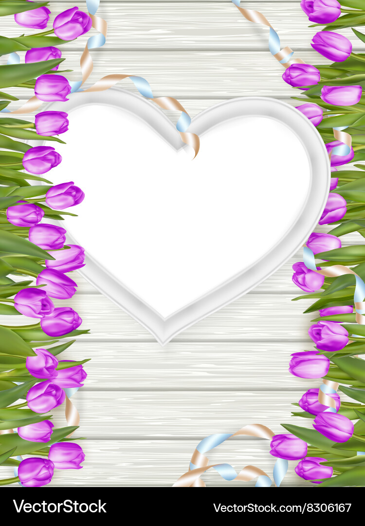 Heart shape frame with tulips eps 10 Vector Image