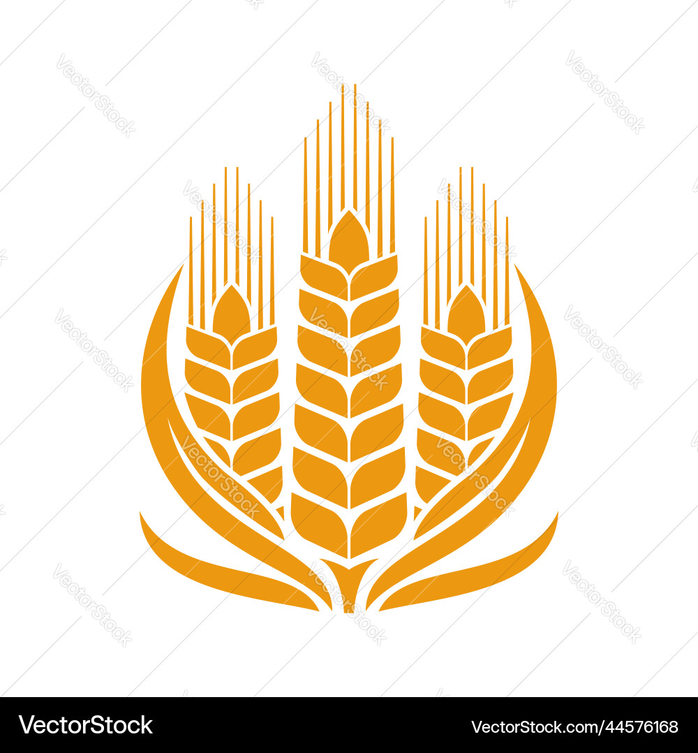 Cereal wheat rye and barley circle graphic icon Cereal wheat rye and barley circle graphic icon vector image