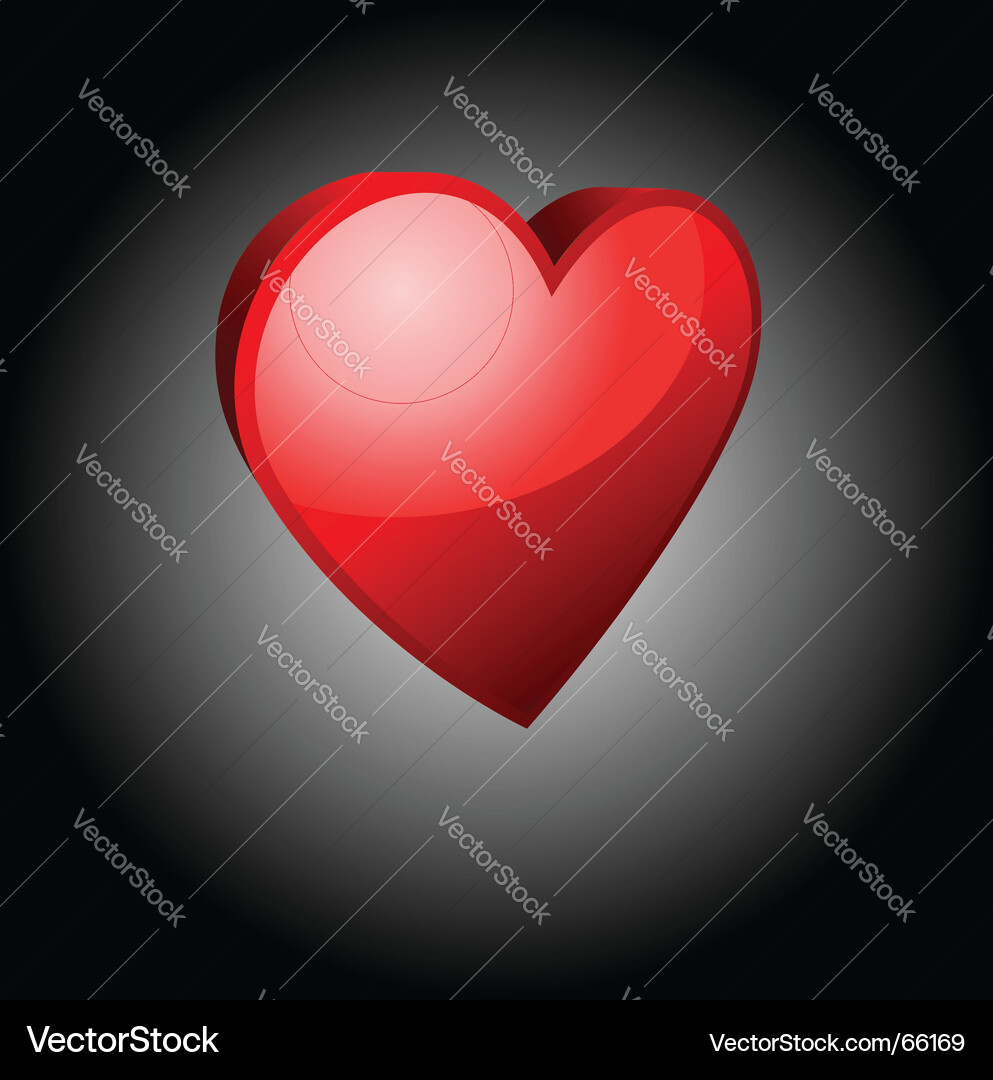 3d heart Vector Image