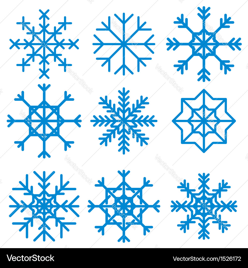 Elegant Snowflake Set vector image