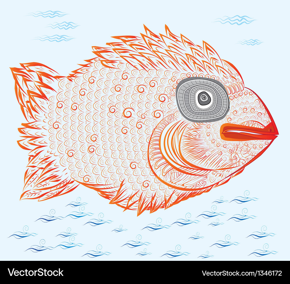 Grouper Vector Image