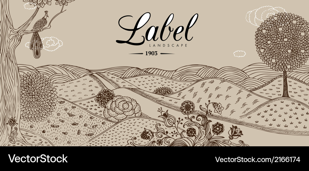 Floral and decorative background Vector Image