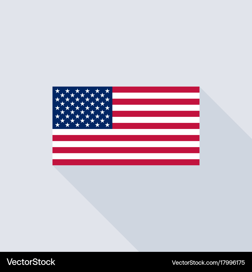 United States Flag Vector Image