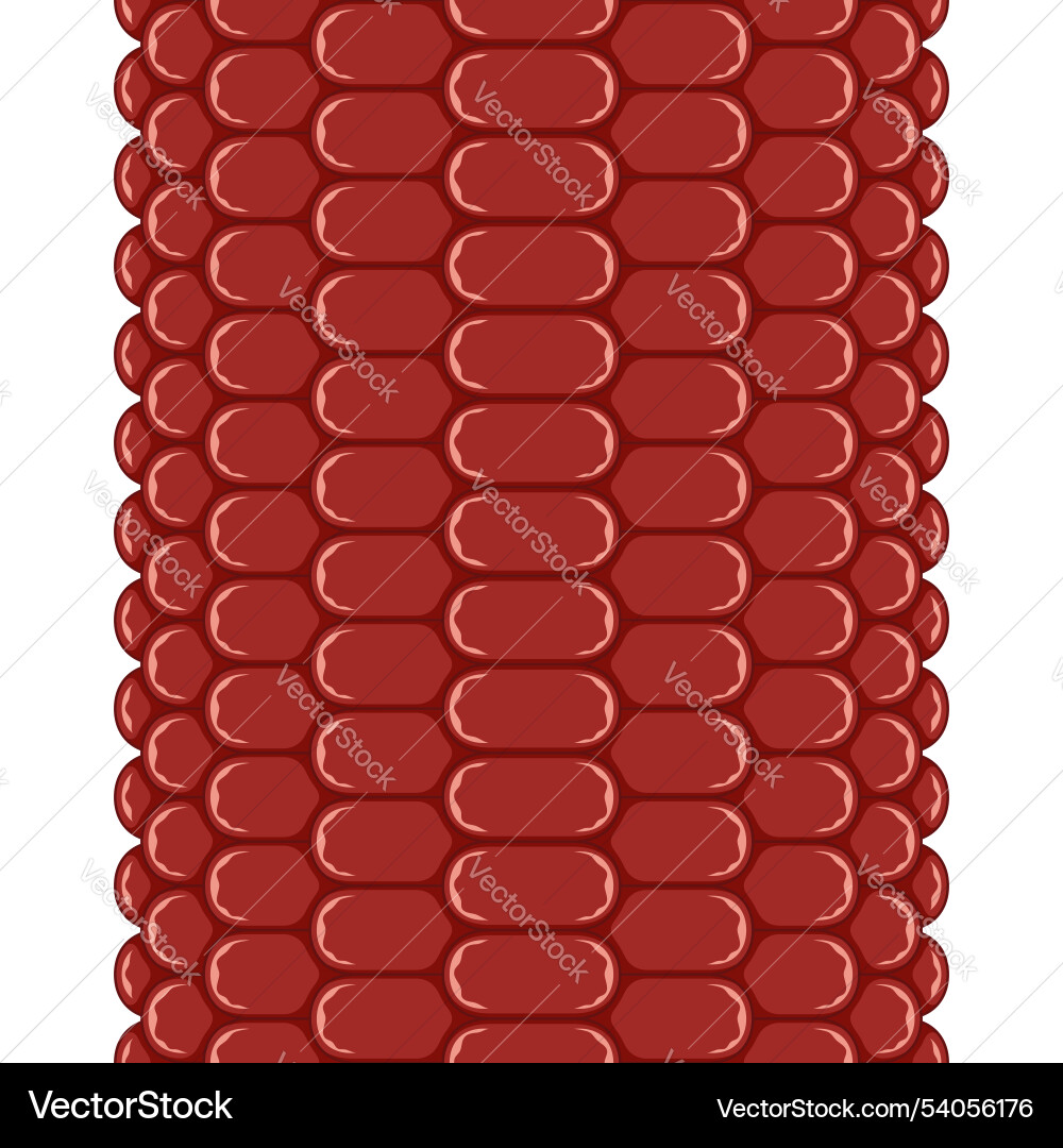 Vertical seamless pattern with corn cob texture Vertical seamless pattern with corn cob texture vector image