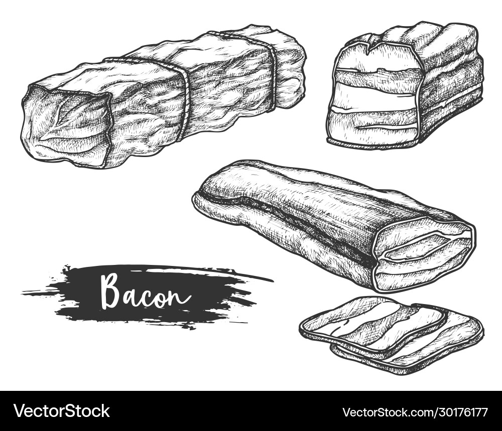 Set isolated sketches sliced bacon Vector Image