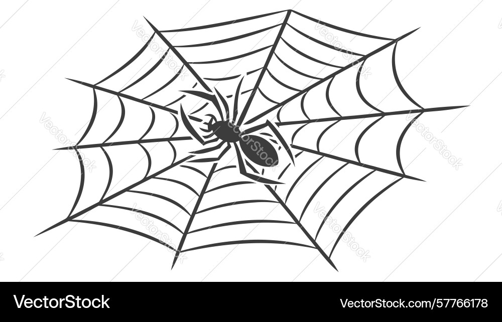 Classic spider web icon simple and spooky element Vector Image