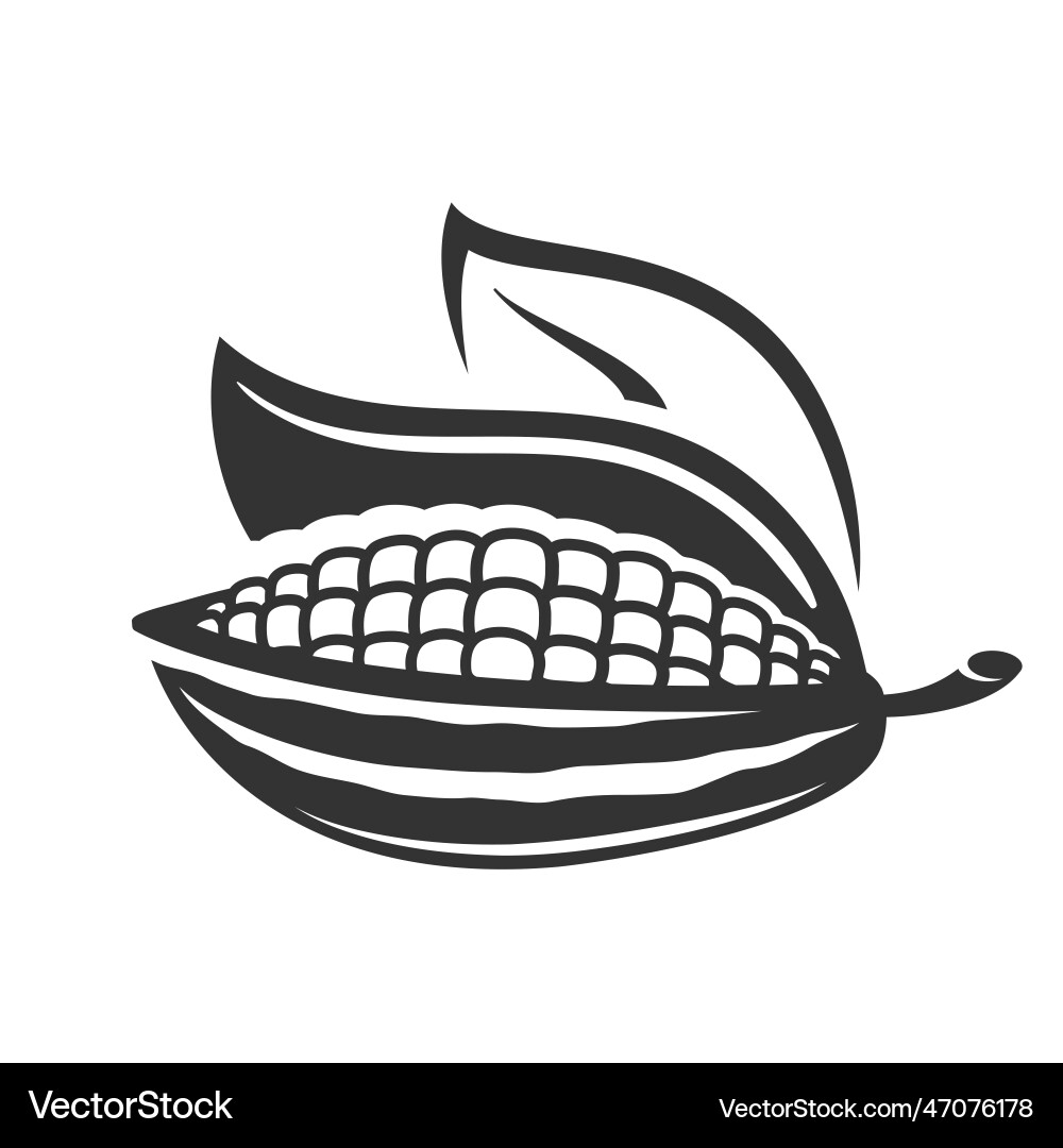 Cocoa pod vector image