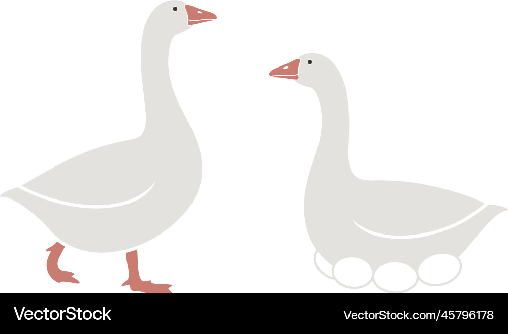 Cute Goose Family Vector Image