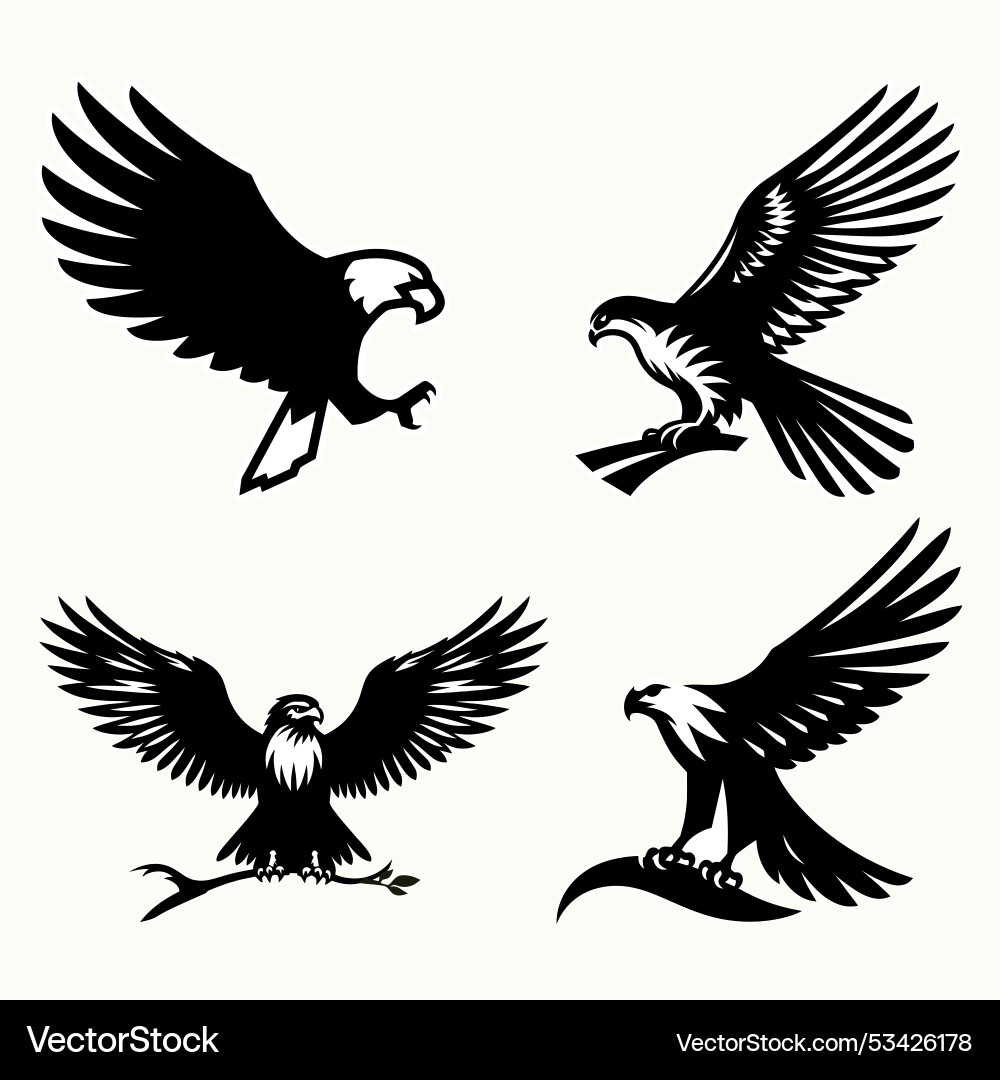Dynamic eagle powerful predators in motion Vector Image