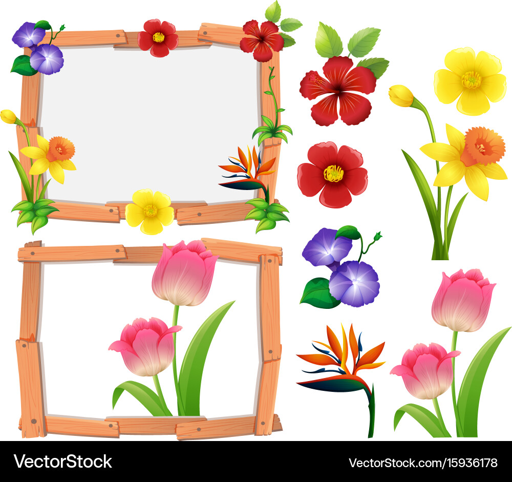 Frame template with different types of flowers Vector Image