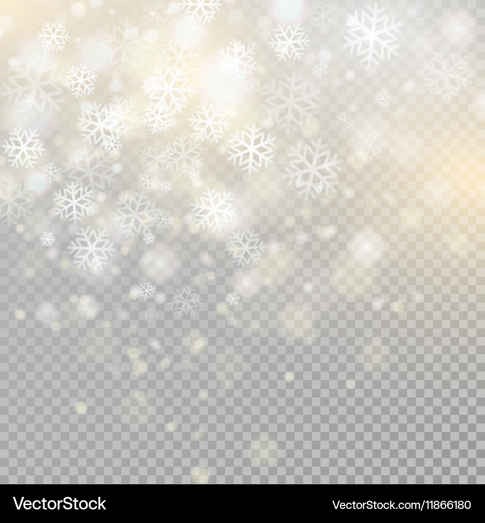 Bokeh light gray sparkles on transparency vector image