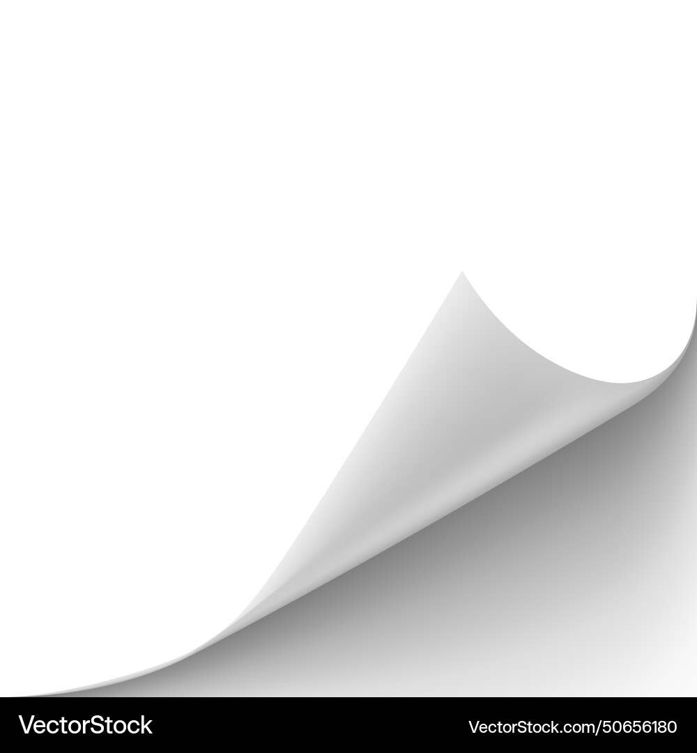 Page Curl with Shadow vector image