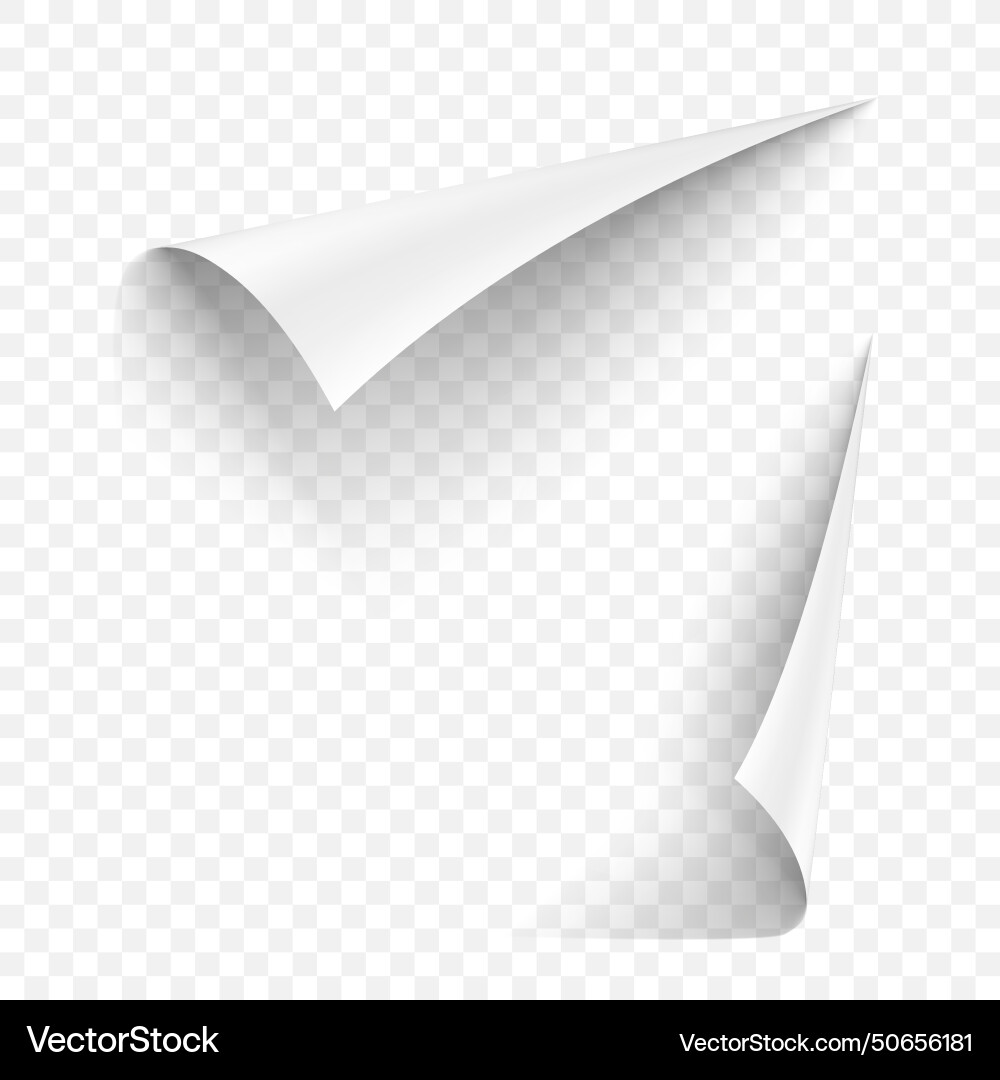 3d white paper curl with shadow isolated 3d white paper curl with shadow isolated vector image