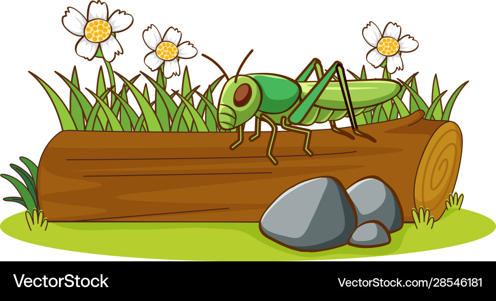 Isolated picture grasshopper on log Vector Image
