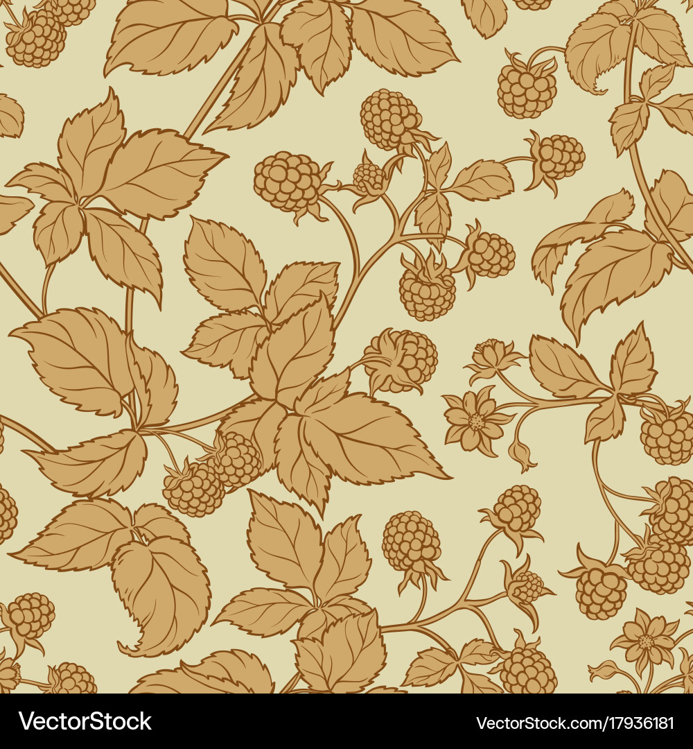 Raspberry Fruit Pattern vector image