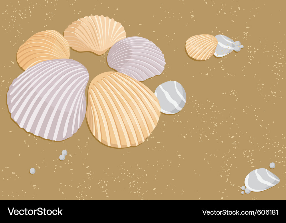 Seashells Vector Image
