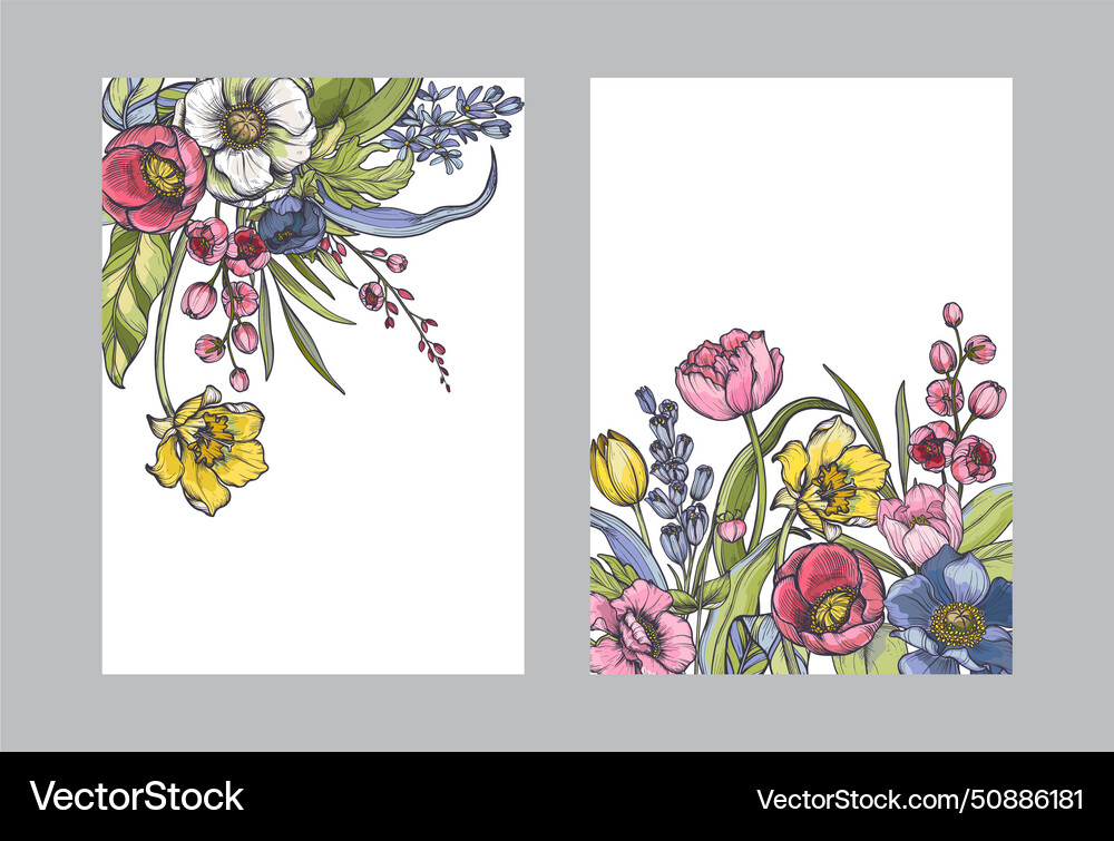 Set of compositions spring flowers Royalty Free Vector Image