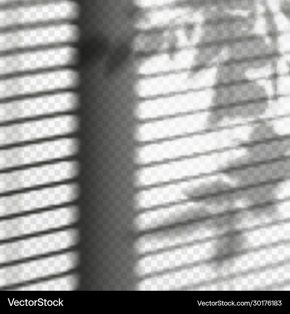 Tree branch and blind shadow light reflection Tree branch and blind shadow light reflection vector image