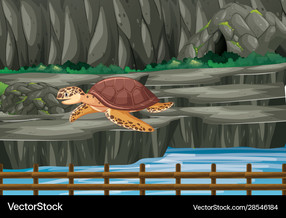 Scene with turtle in zoo Vector Image