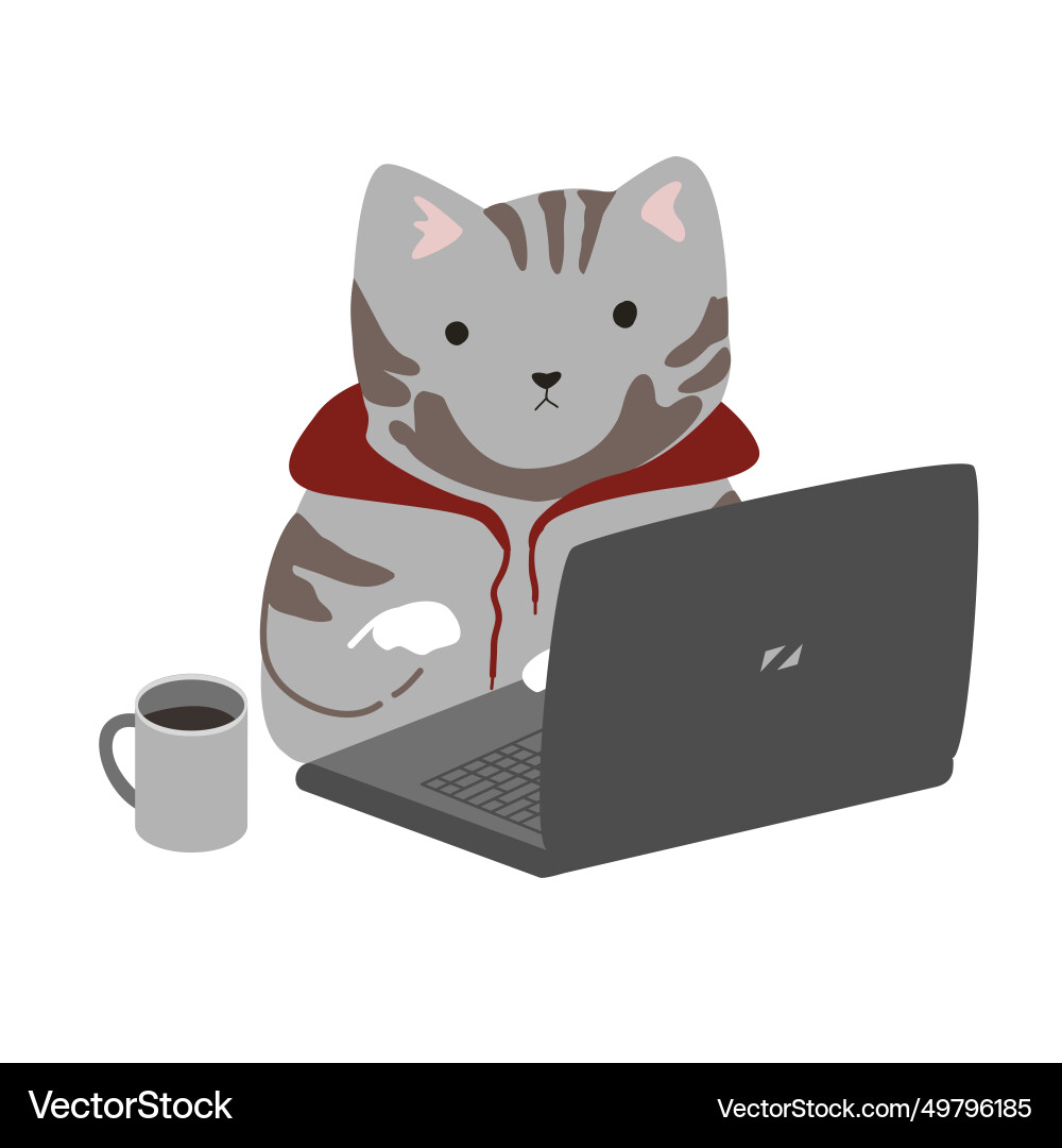 Funny programmer cat in red hoodie working Funny programmer cat in red hoodie working vector image