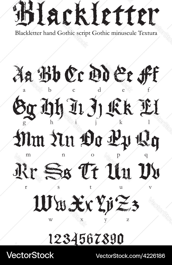 Elegant Blackletter Script Font vector image