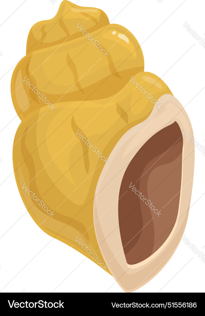 Empty seashell lying on white background showing Empty seashell lying on white background showing Vector Image