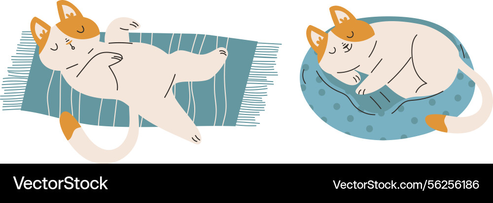 Funny cat domestic pet with pretty snout engaged Funny cat domestic pet with pretty snout engaged vector image