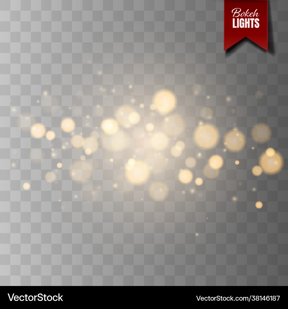 Shining bokeh isolated on transparent background Shining bokeh isolated on transparent background vector image