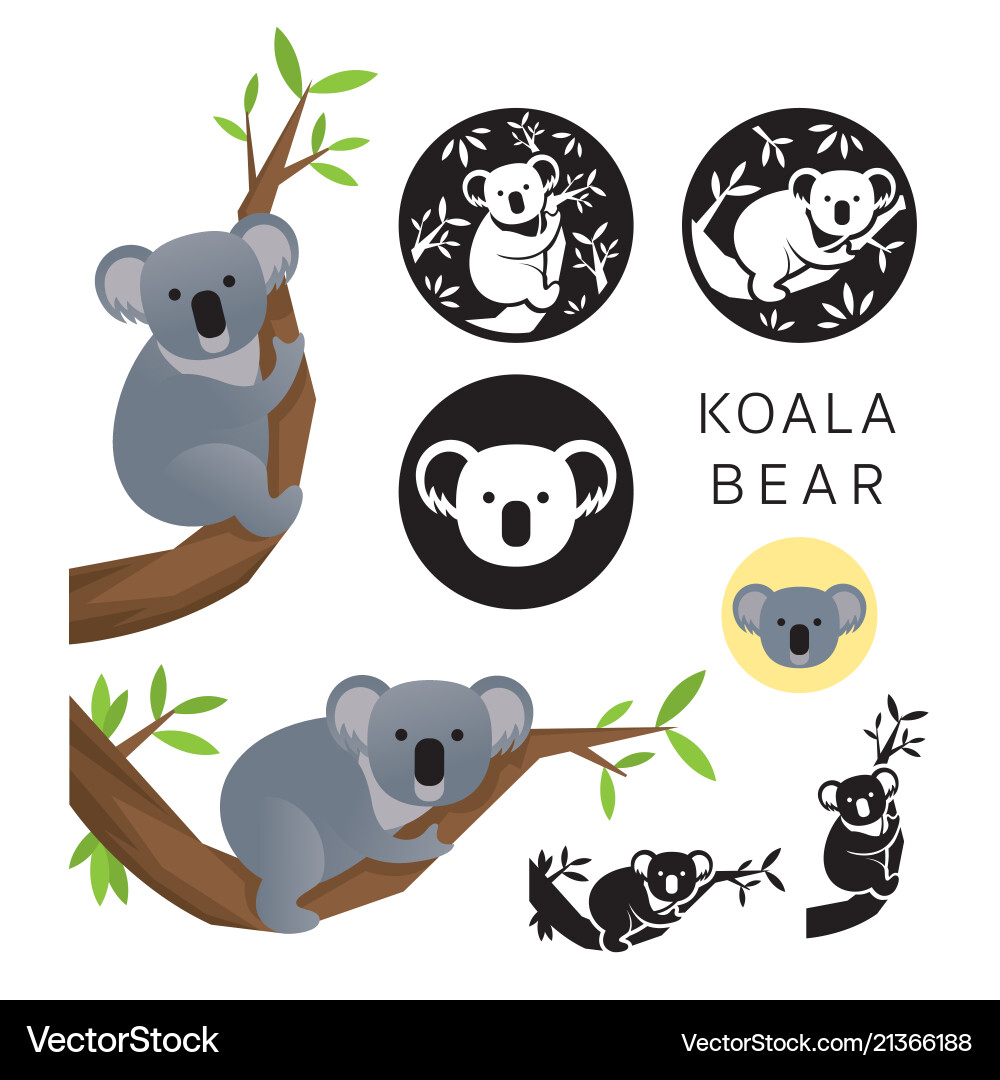 Koala bear set Royalty Free Vector Image - VectorStock