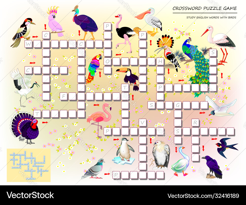 Cute Bird Crossword Puzzle for Kids Royalty Free Vector
