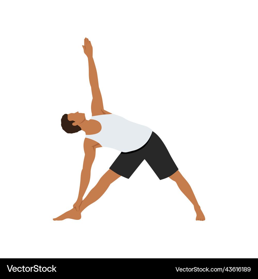 Verlängertes Dreieck Pose oder utthita trikonasana Verlängertes Dreieck Pose oder utthita trikonasana vektorbild