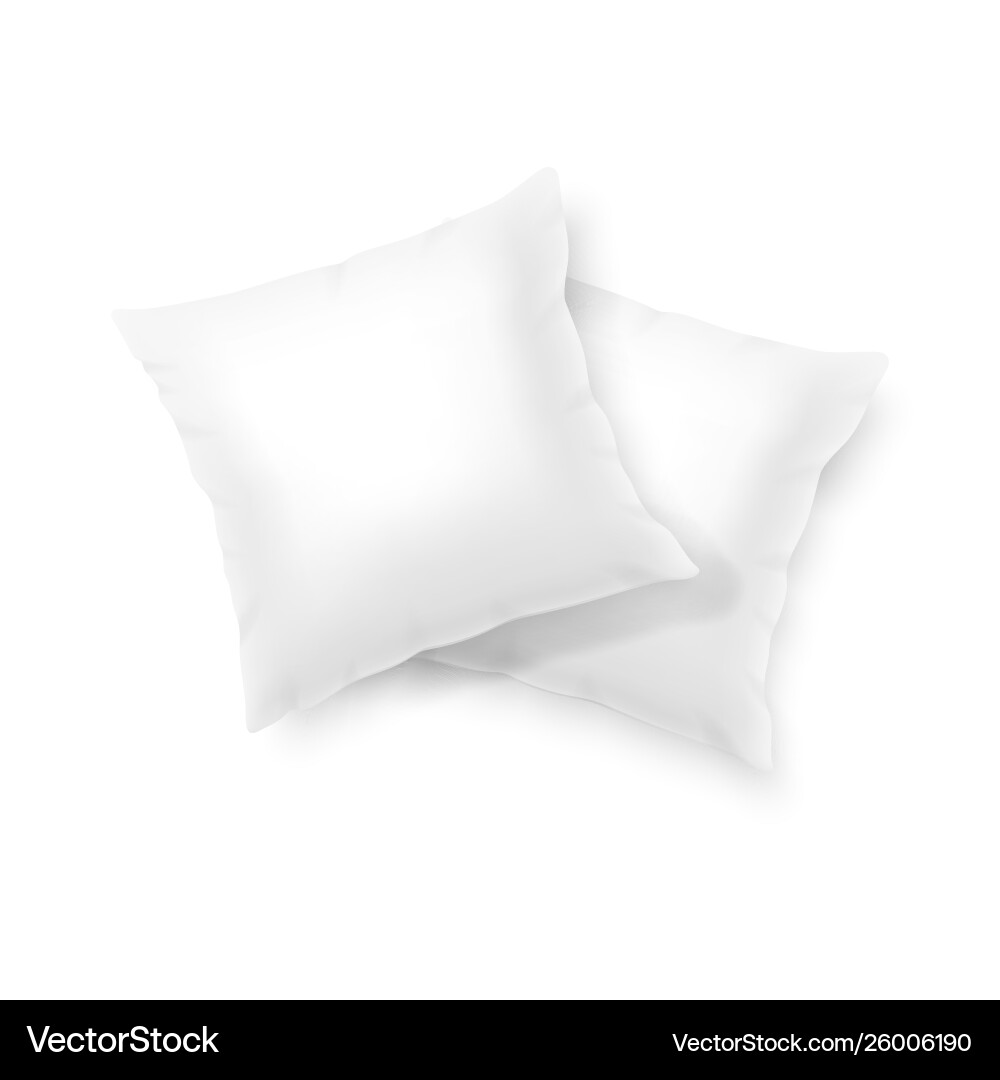 3d realistic render two square blank white 3d realistic render two square blank white vector image