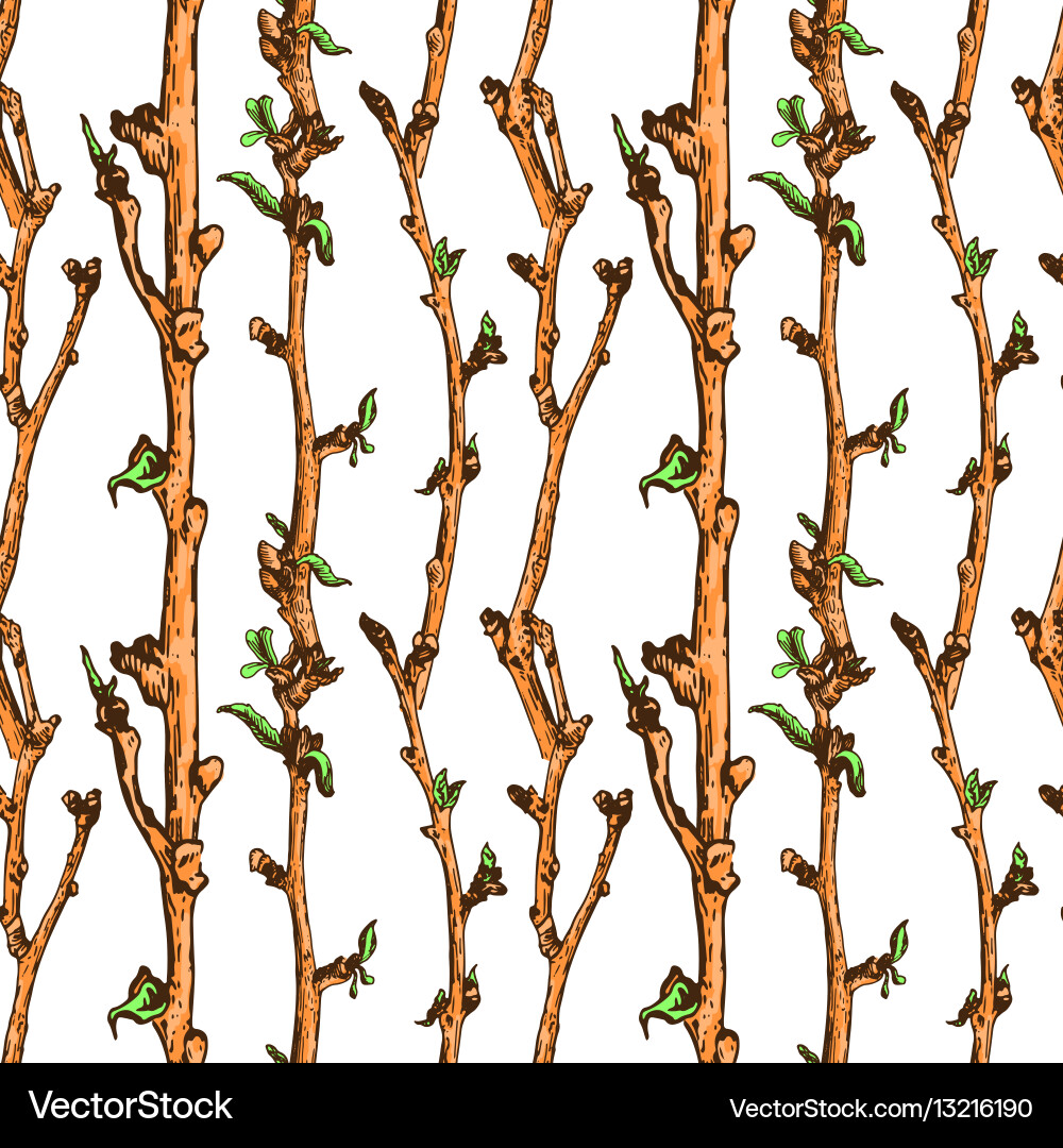 Apple tree sketch pattern 1 vector image