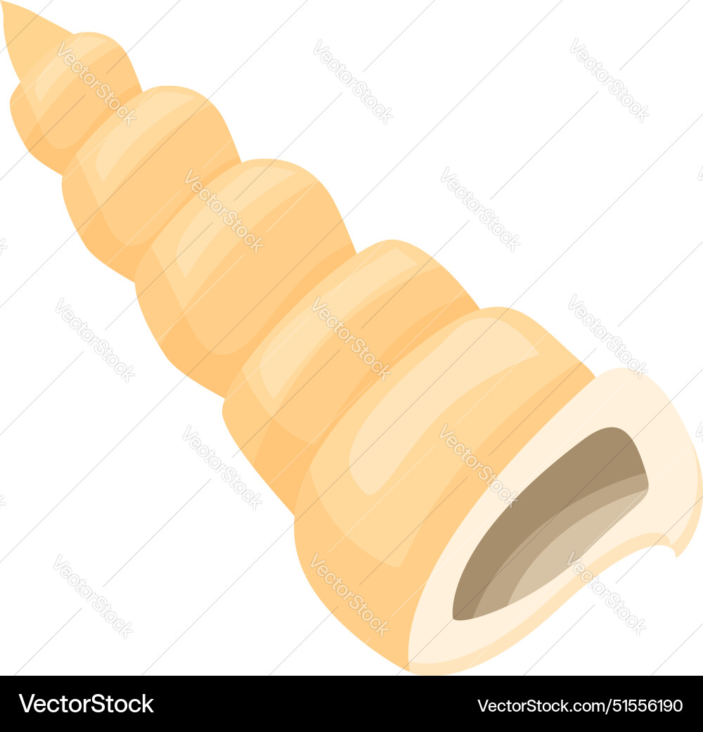 Empty seashell with spiral shape isolated on white Empty seashell with spiral shape isolated on white Vector Image