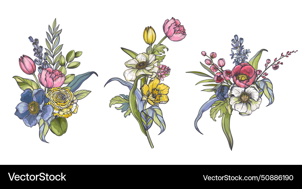 Set of compositions spring flowers Royalty Free Vector Image