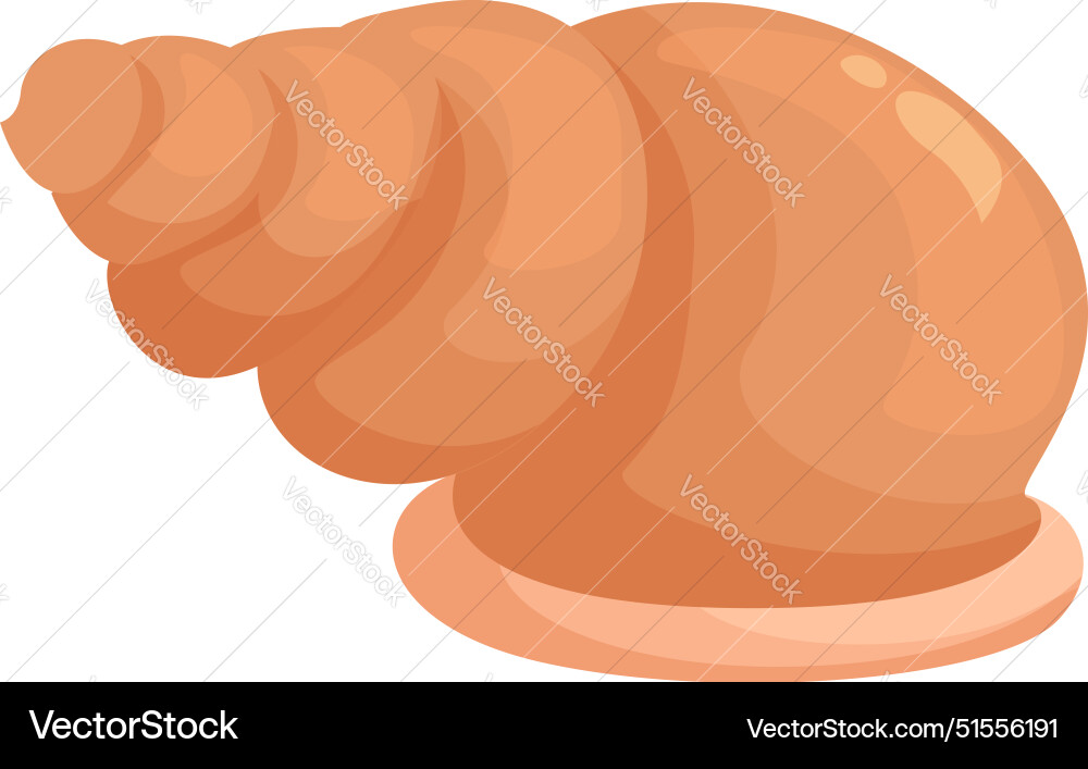 Empty seashell isolated on white background Empty seashell isolated on white background Vector Image