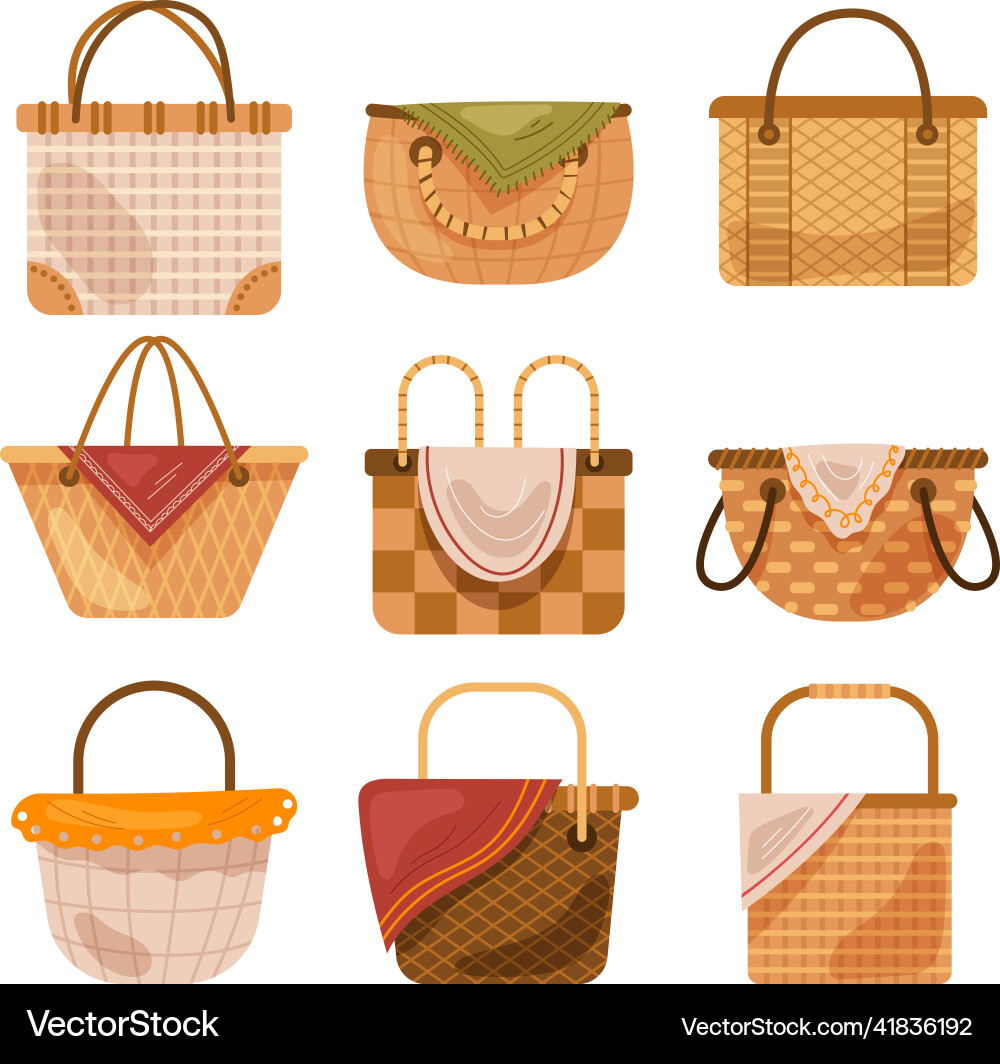 Different type of empty baskets set vector image