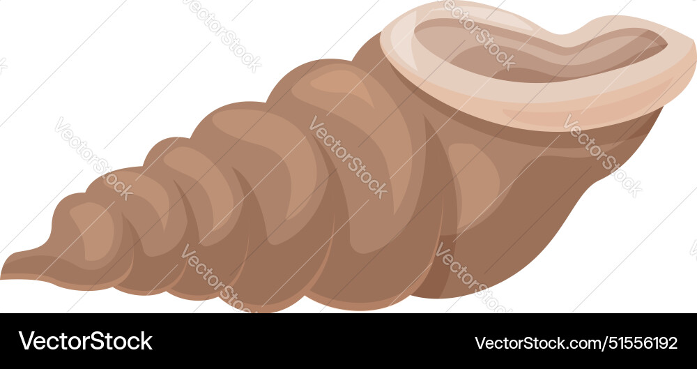 Empty seashell lying horizontally with opening Vector Image