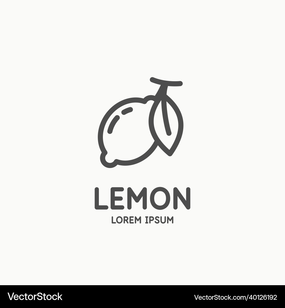 Lemon in linear flat style isolated vector image