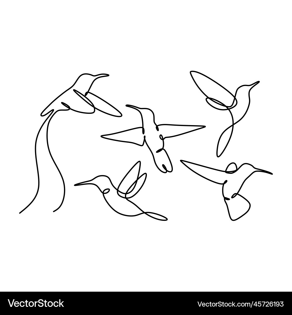 Bird continuous line drawing set collections Bird continuous line drawing set collections vector image