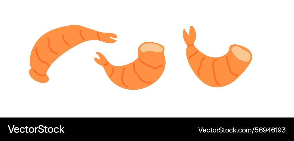 Different forms of shrimp displayed in a colorful Different forms of shrimp displayed in a colorful Vector Image
