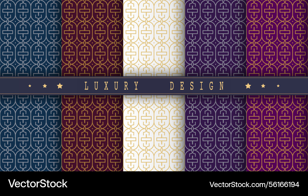 A luxurious pattern set of spectacular patterns A luxurious pattern set of spectacular patterns vector image
