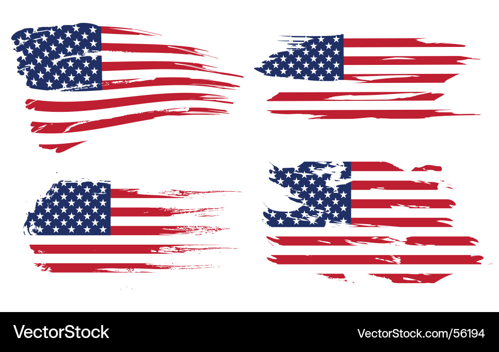 American Flag vector image