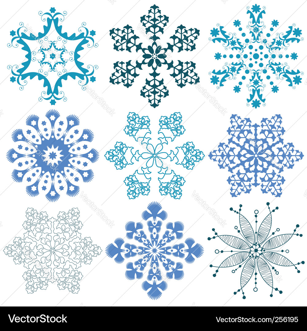 Winter Snowflake Collection Vector Image