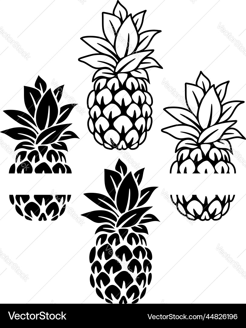 Pineapple with split for text vector image