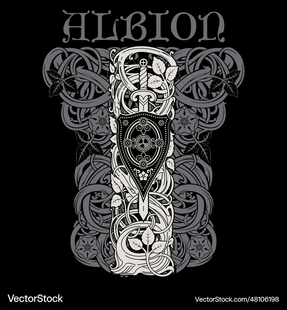 Design in a medieval knightly style vector image